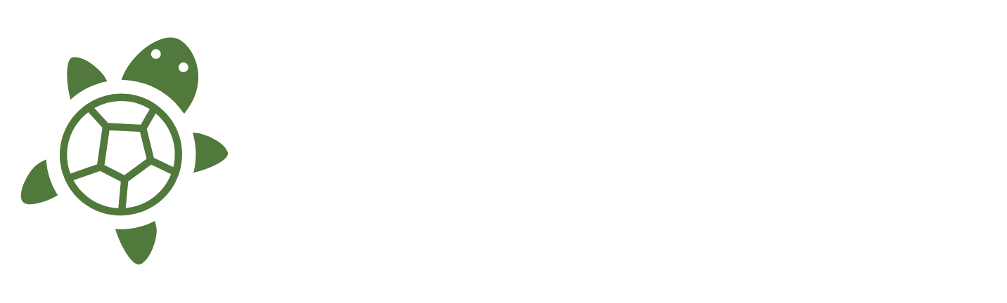 Turbo Turtle Ecommerce Logo